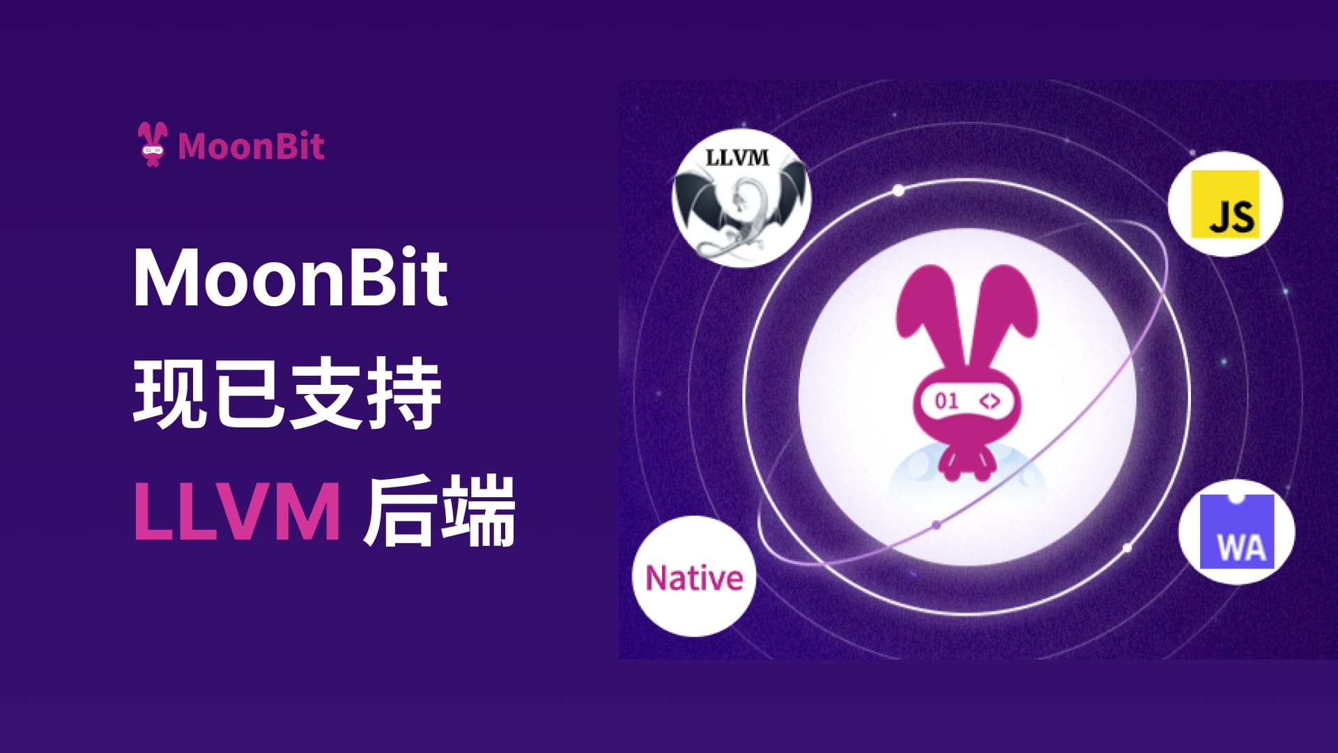 MoonBit成为北大编程课程语言;LLVM后端同步发布